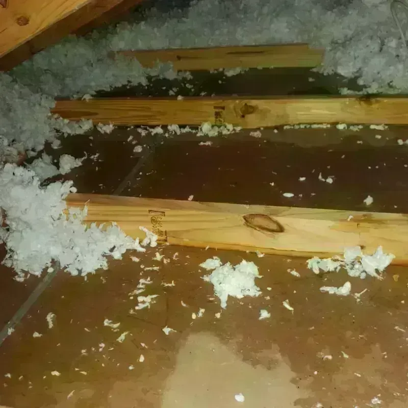 Attic Water Damage in Crandall, TX